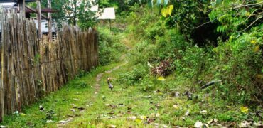 Exclusive Commercial Subdivision Estate