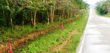 Exclusive Commercial Estates Along Highway