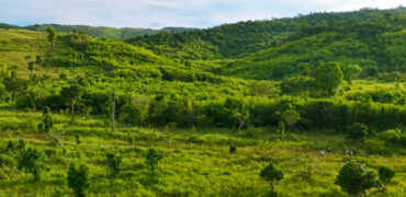 Sizable Estate Along Municipal Highway